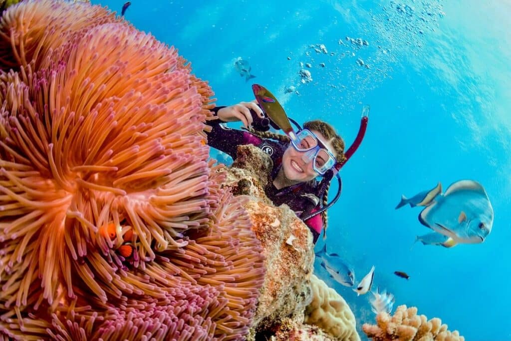 Great Barrier Reef Underwater Scene