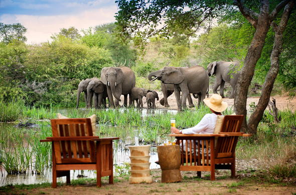 Kruger National Park Safari